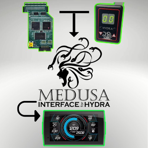 Medusa Interface for Hydra Chip
