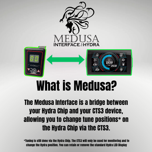 Medusa Interface for Hydra Chip