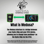 Medusa Interface for Hydra Chip