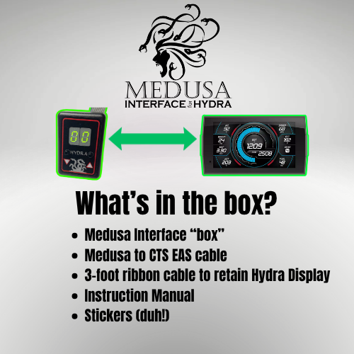 Medusa Interface for Hydra Chip